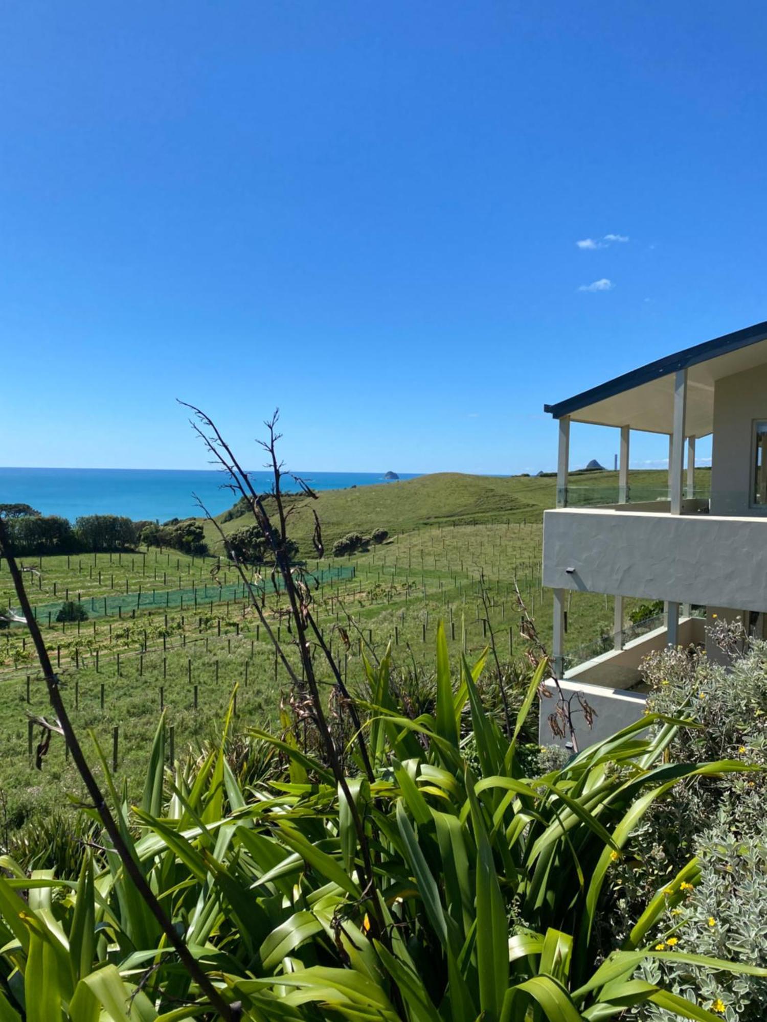 Chalets At Okurukuru New Plymouth Exterior foto